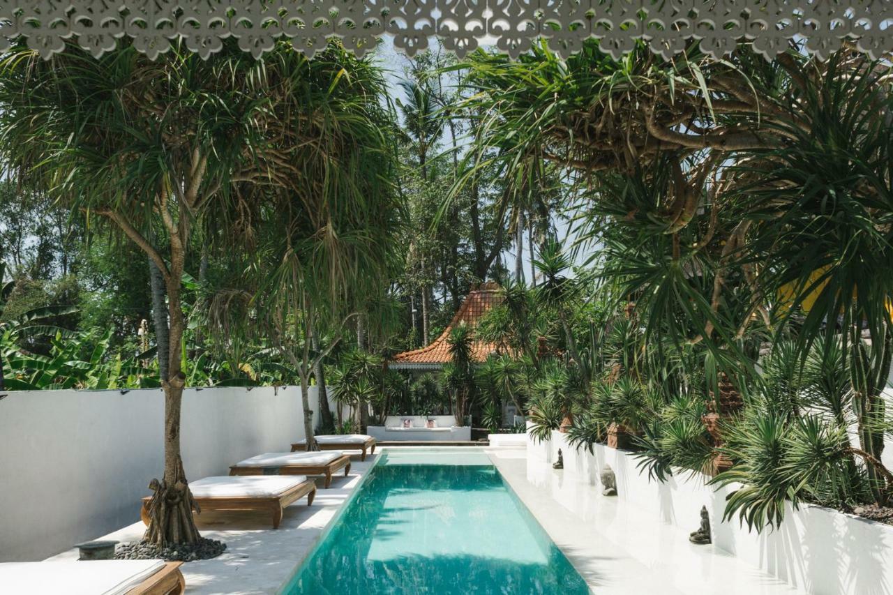 The Seseh House Villa Canggu  Ngoại thất bức ảnh
