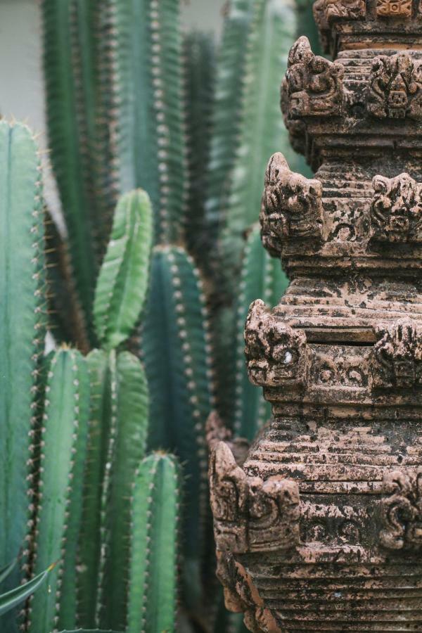 The Seseh House Villa Canggu  Ngoại thất bức ảnh