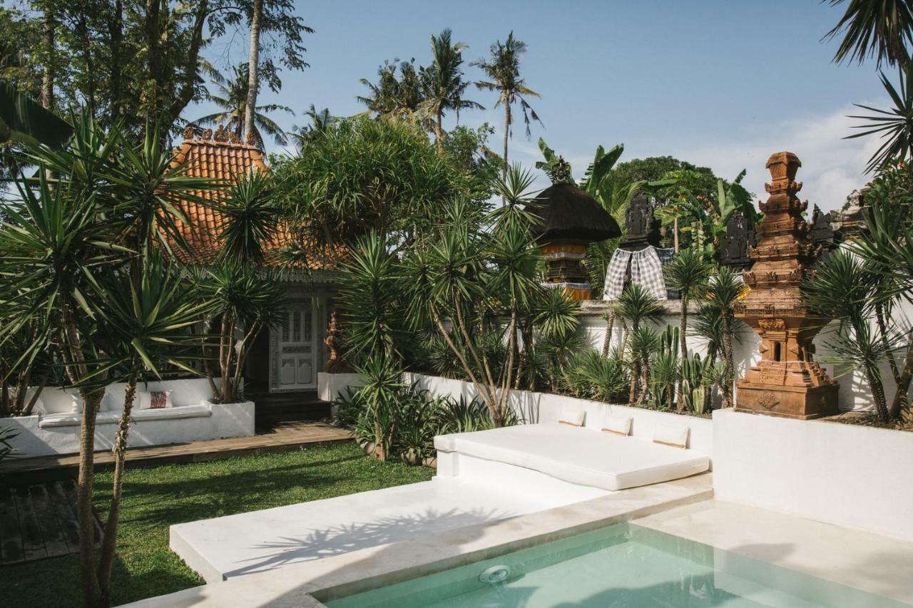 The Seseh House Villa Canggu  Ngoại thất bức ảnh