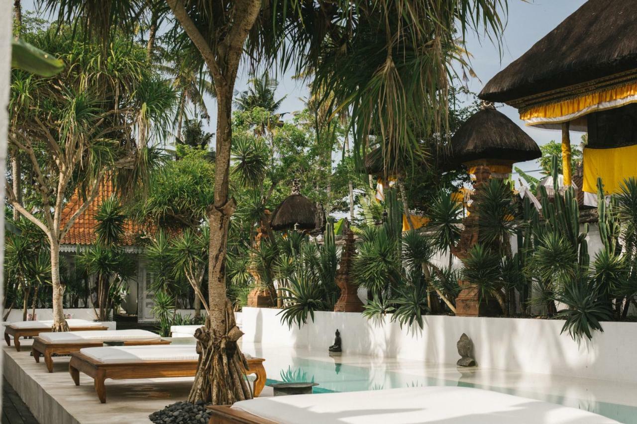 The Seseh House Villa Canggu  Ngoại thất bức ảnh