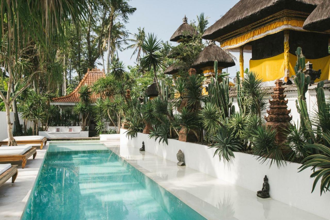 The Seseh House Villa Canggu  Ngoại thất bức ảnh